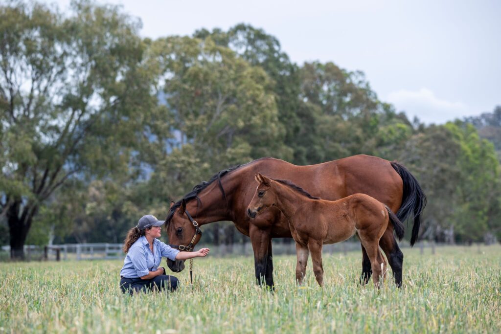A person wearing a blue shirt and a cap is kneeling in a grassy field, extending an arm towards the head of a bay thoroughbred horse. Next to the horse stands a young foal, also brown in color. The background features tall trees and a cloudy sky