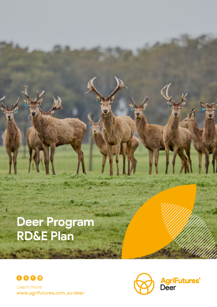 A herd of deer standing in a green paddock, looking toward the camera. The lower section of the image features the AgriFutures Deer Program RD&E Plan cover design, with white text and yellow and green graphic elements, along with the AgriFutures Deer logo.