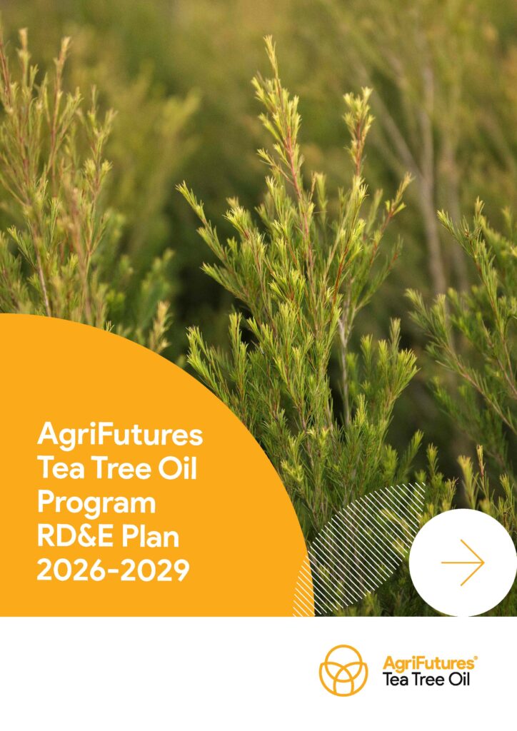 The cover of the AgriFutures Tea Tree Oil Program RD&E Plan 2026–2029, featuring a close-up photograph of green tea tree foliage, with the report title displayed in a yellow graphic overlay and the AgriFutures Tea Tree Oil logo at the bottom.